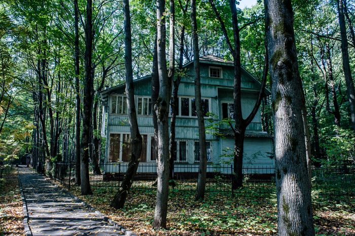 Виды Переделкино