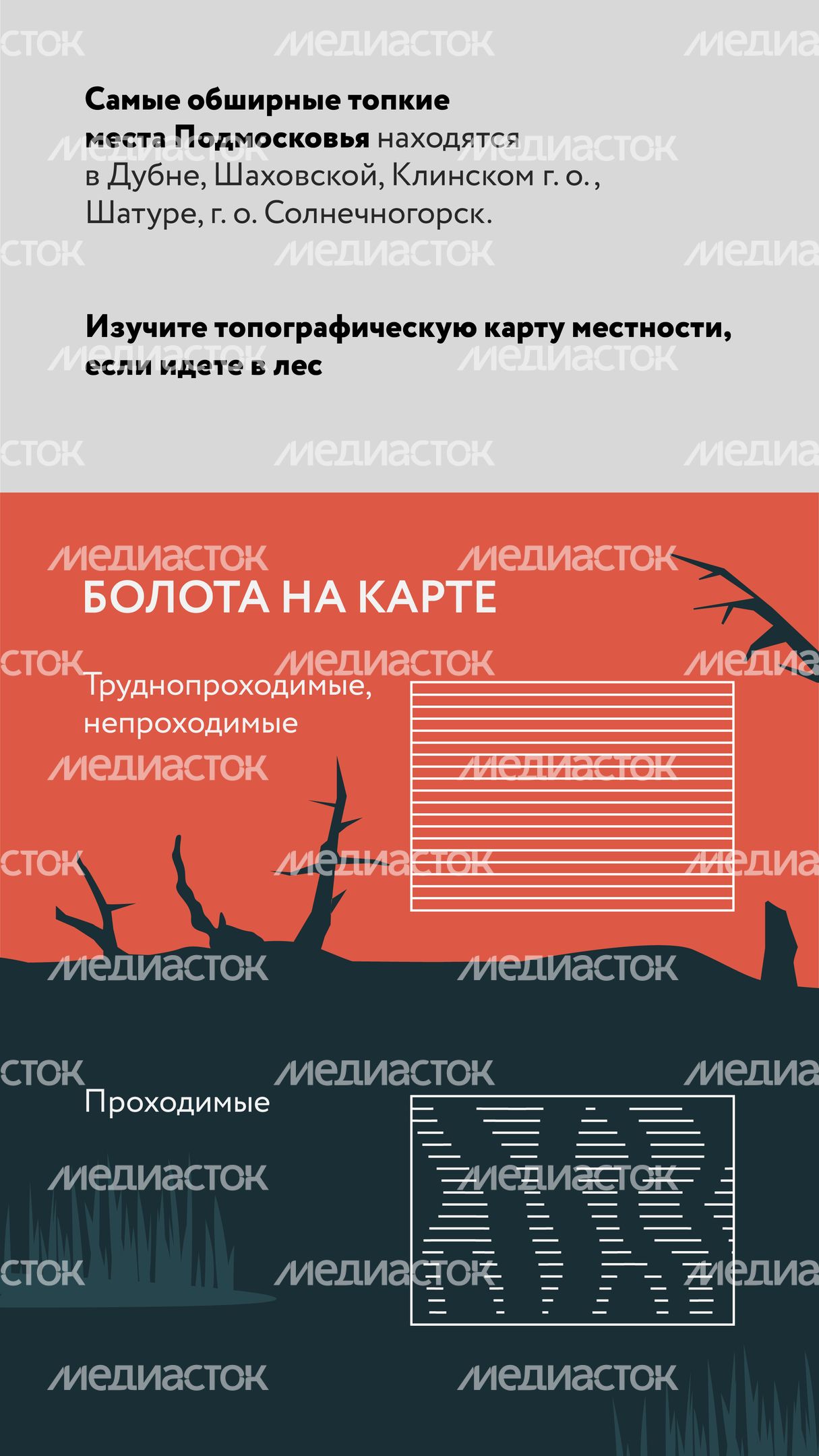 Болото-Вертикаль-03.jpg