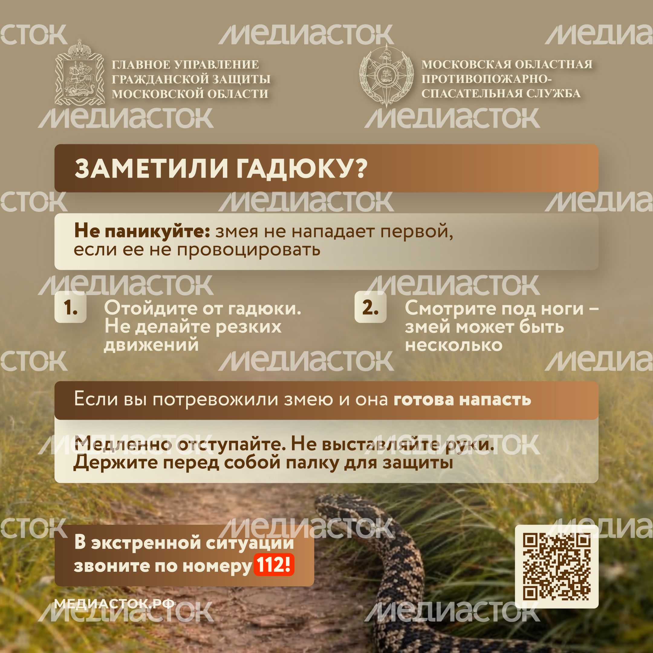 Гадюки квадрат 06 Гадюки квадрат 06