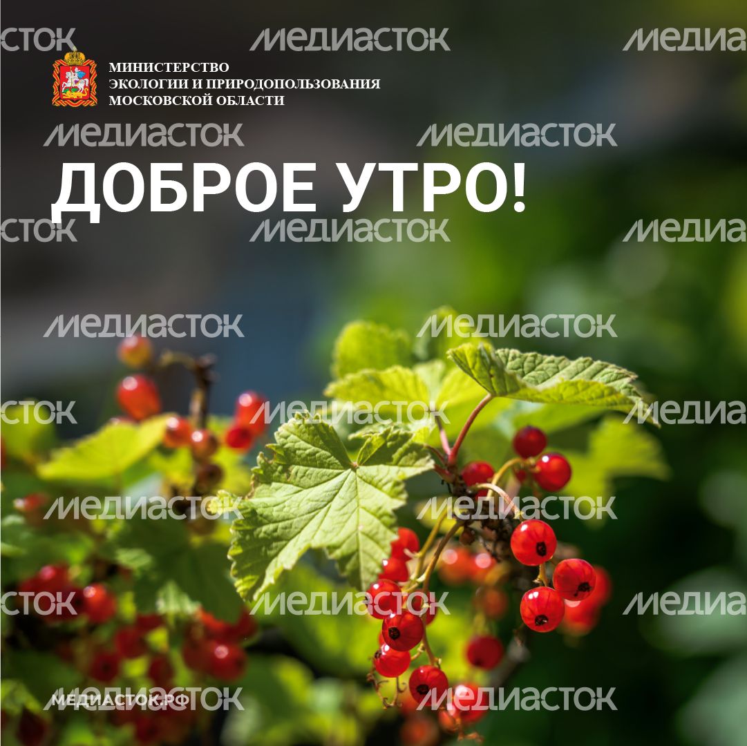 Доброе утро квадрат 04
