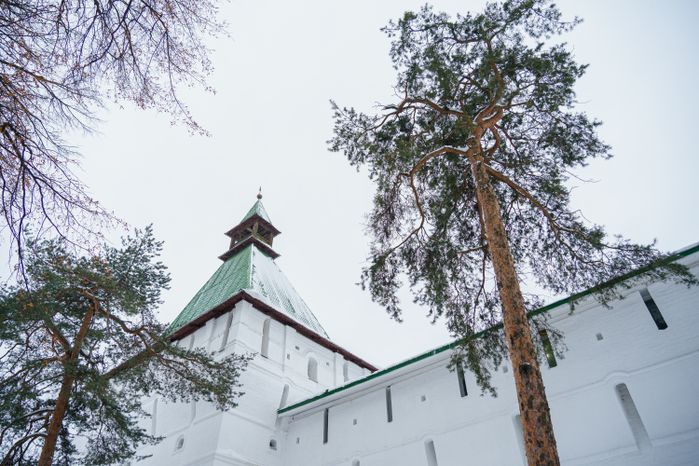 Сергиев Посад. Свято-Троицкая Сергиева лавра. Зима