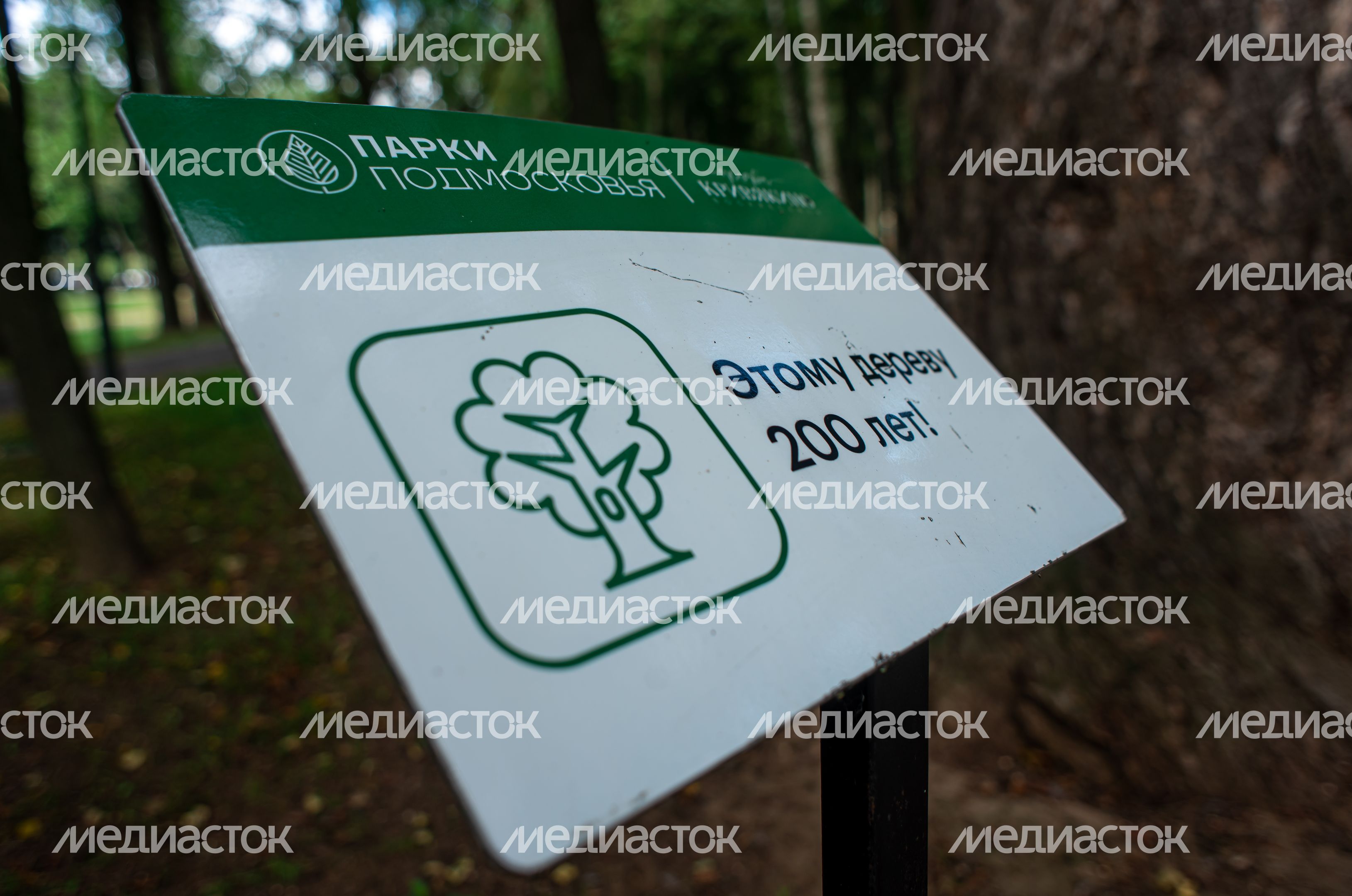 Летние виды Усадьбы Кривякино в городе Воскресенск