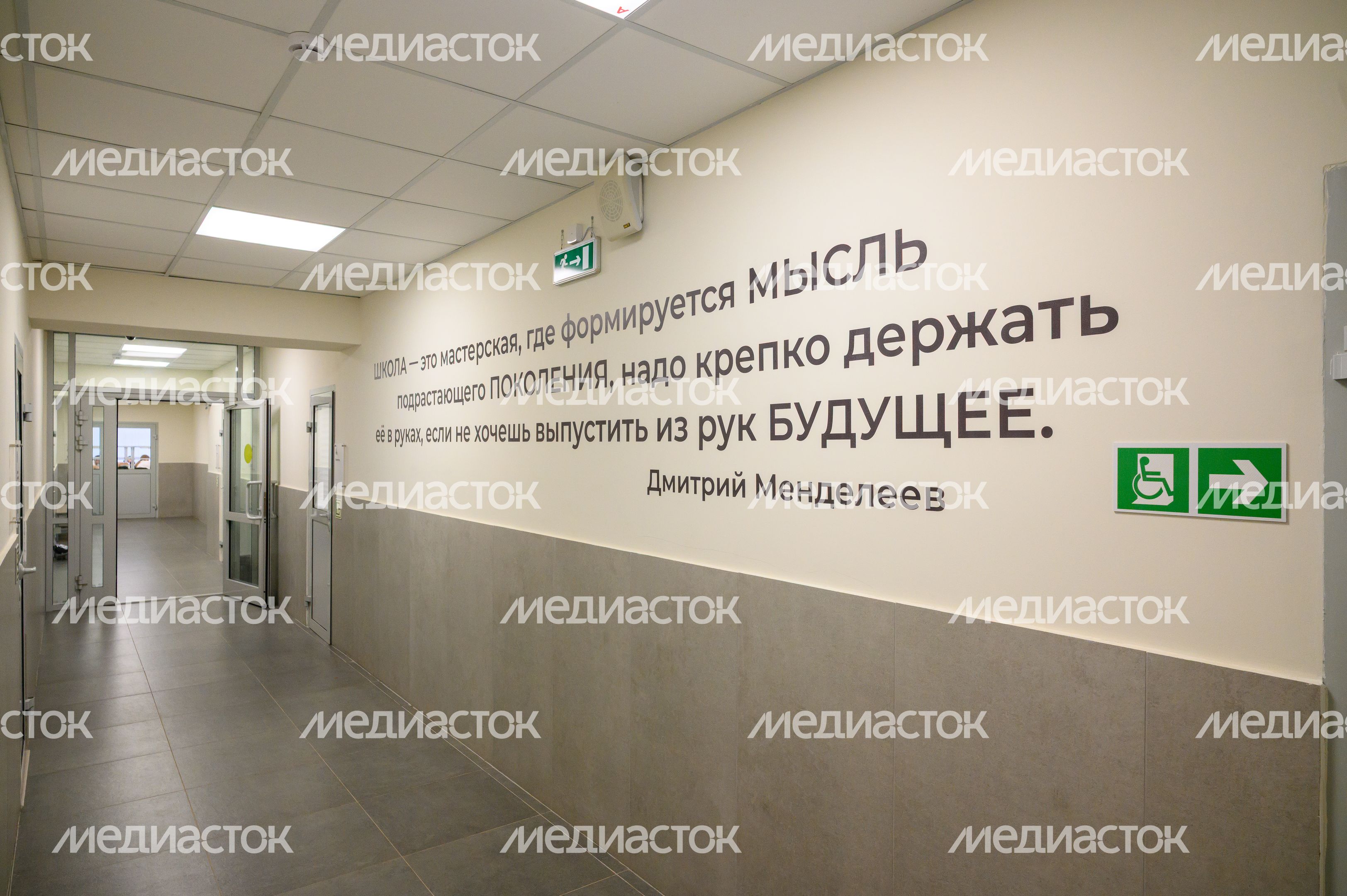 Цитата Менделеева на стене Центра образования №29 после капитального ремонта в поселке Зеленый Богородского округа Цитата Менделеева на стене Центра образования №29 после капитального ремонта в поселке Зеленый Богородского округа