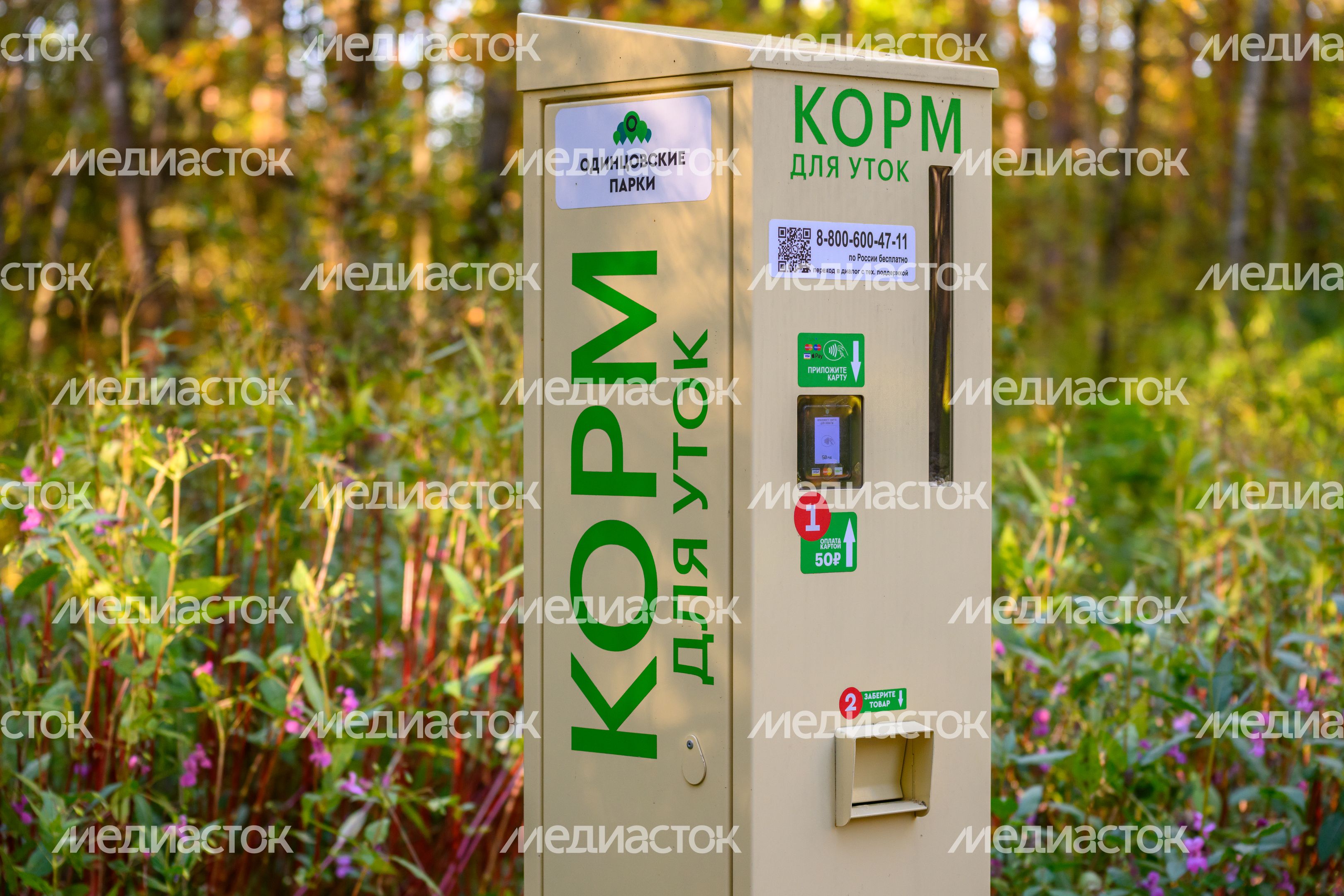 Автомат по продаже корма для уток у пруда в парке Малевича осенью Автомат по продаже корма для уток у пруда в парке Малевича осенью
