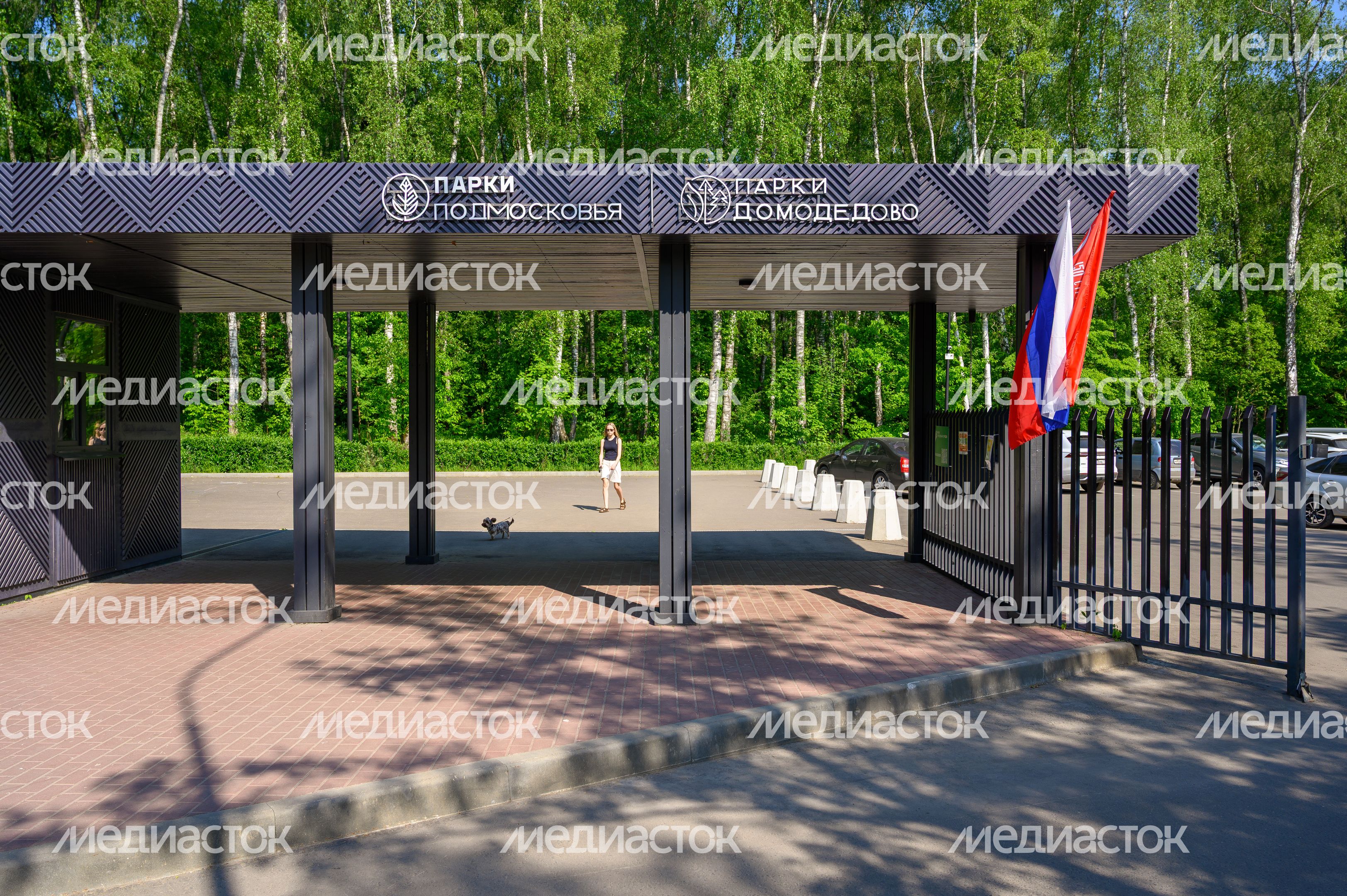 Выездная акция по чипированию и вакцинации животных в парке «Взлет» Домодедово Выездная акция по чипированию и вакцинации животных в парке «Взлет» Домодедово