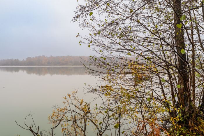 Виды Балашихи. Озеро Бабошкино