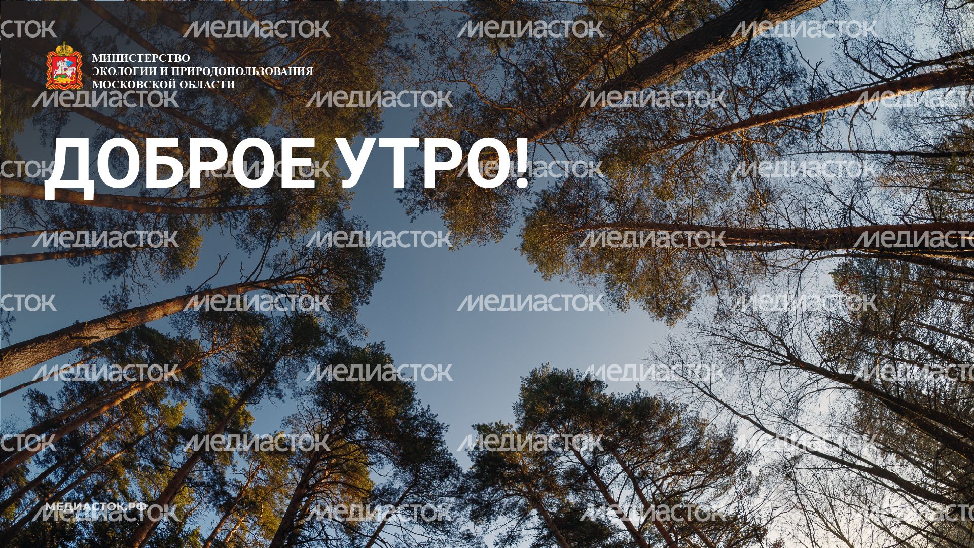 Доброе утро горизонталь 05
