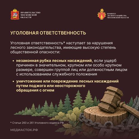 Самовольный захват и использование лесных участков квадрат 06