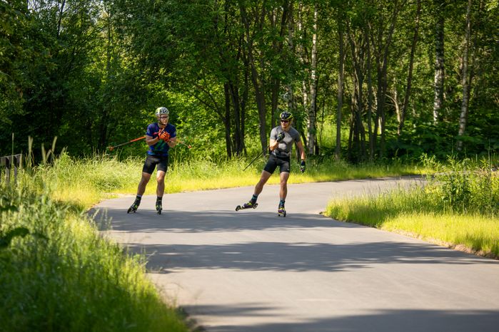 Спортсмены на лыжероллерной трассе в лесопарке «Волкуша» в Лыткарино