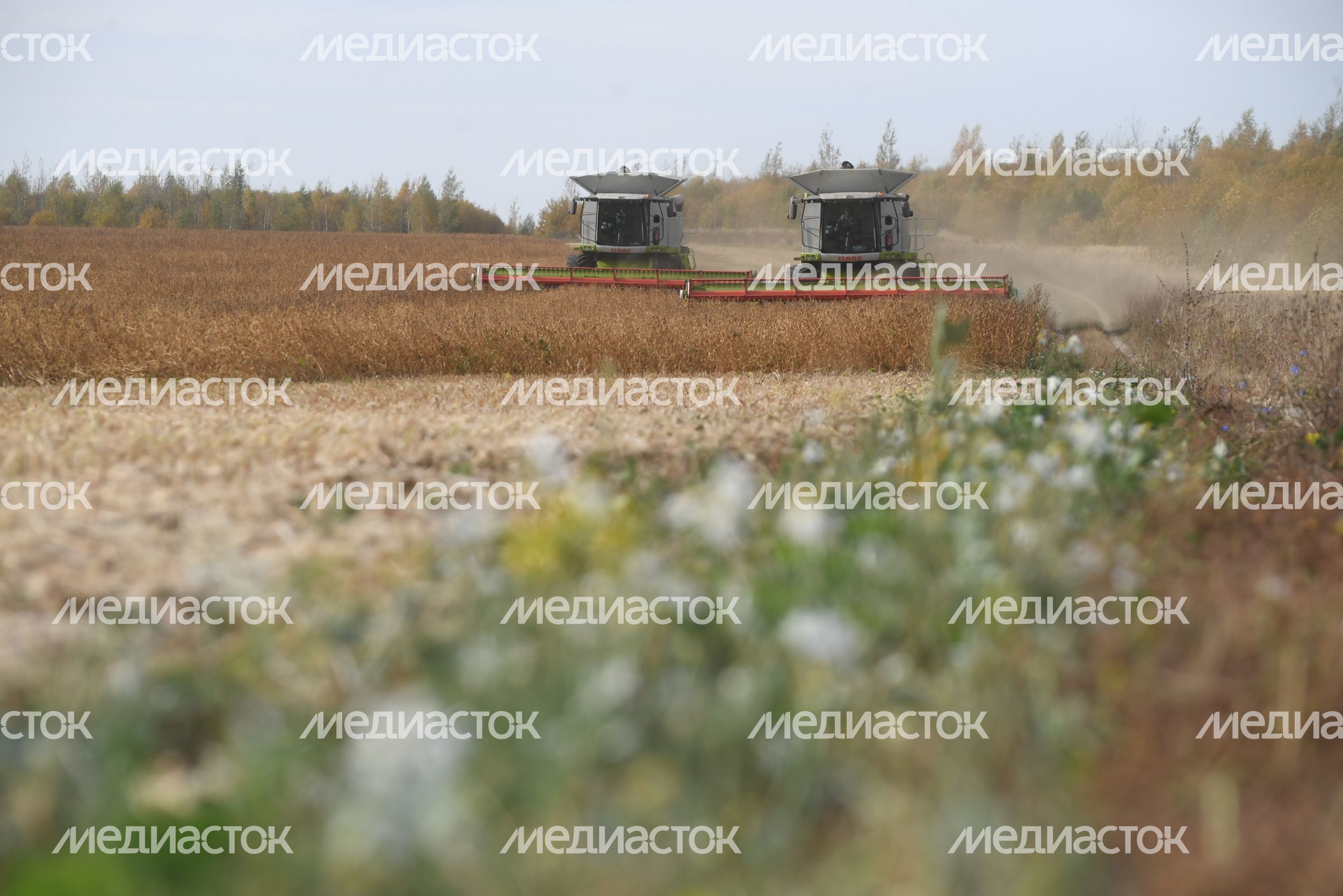 Рабочая поездка губернатора Подмосковья в городской округ Зарайск Рабочая поездка губернатора Подмосковья в городской округ Зарайск