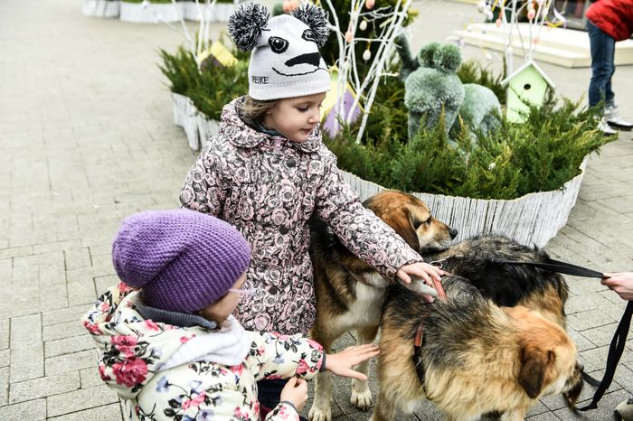 Фестиваль Пасхальный Дар, Московские сезоны стартовал в Москве