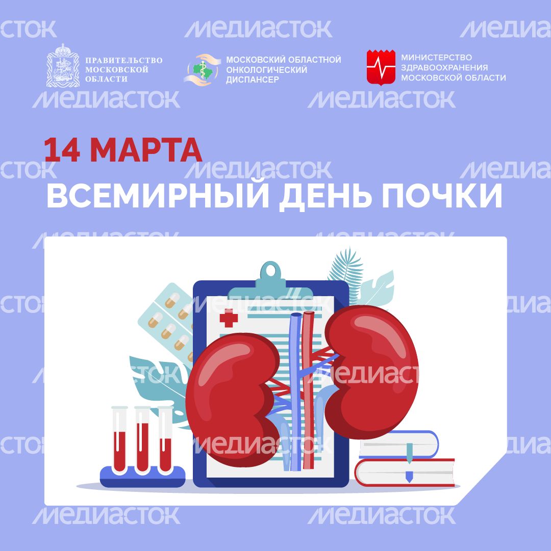 14 марта всемирный день почки-квадрат
