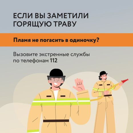 Пал травы