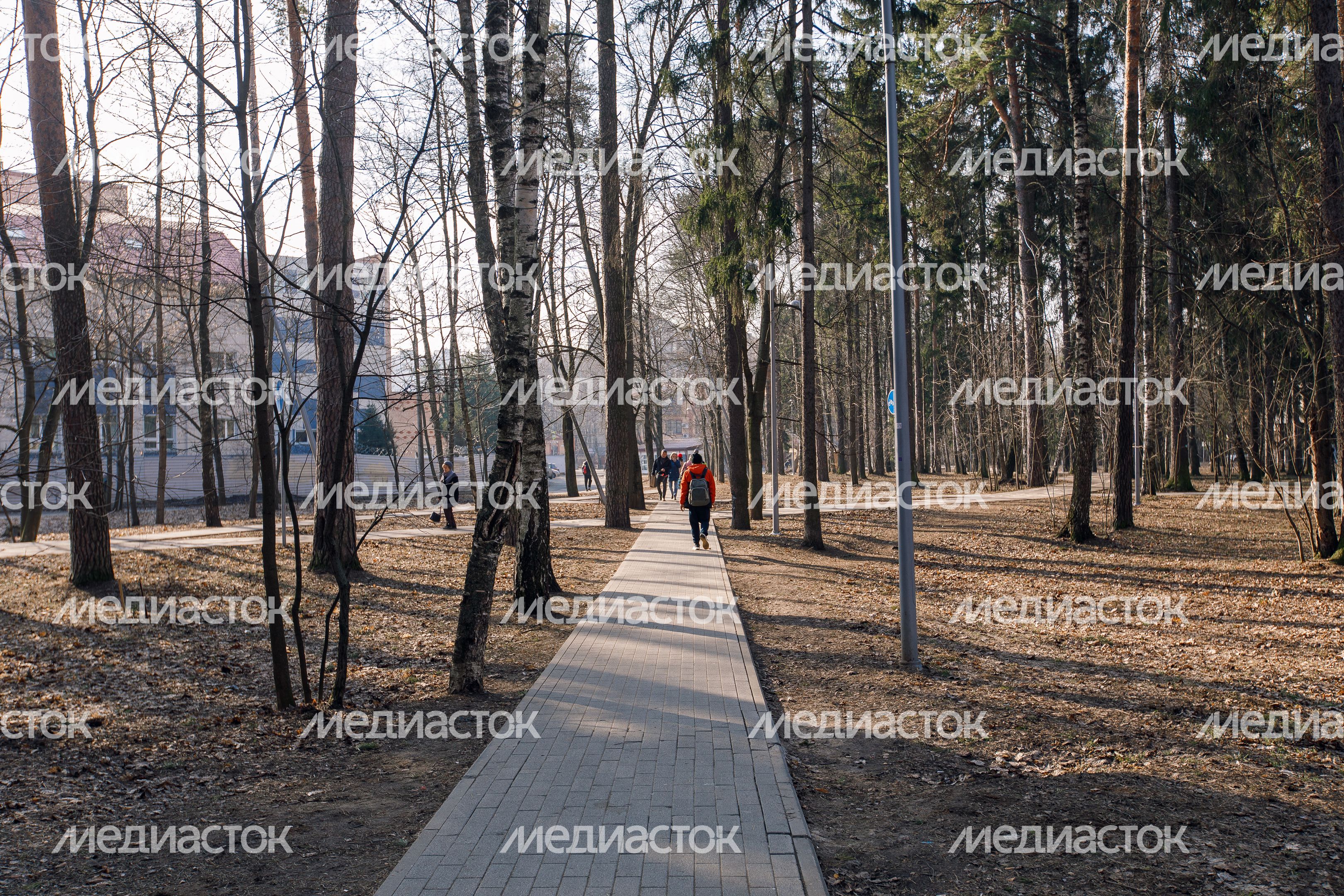 Сквер Героев Курсантов в микрорайоне Юбилейный города Королев Сквер Героев Курсантов в микрорайоне Юбилейный города Королев