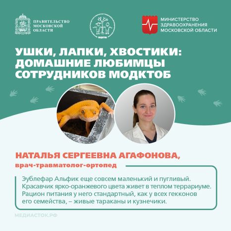 Ушки, лапки, хвостики квадрат 05