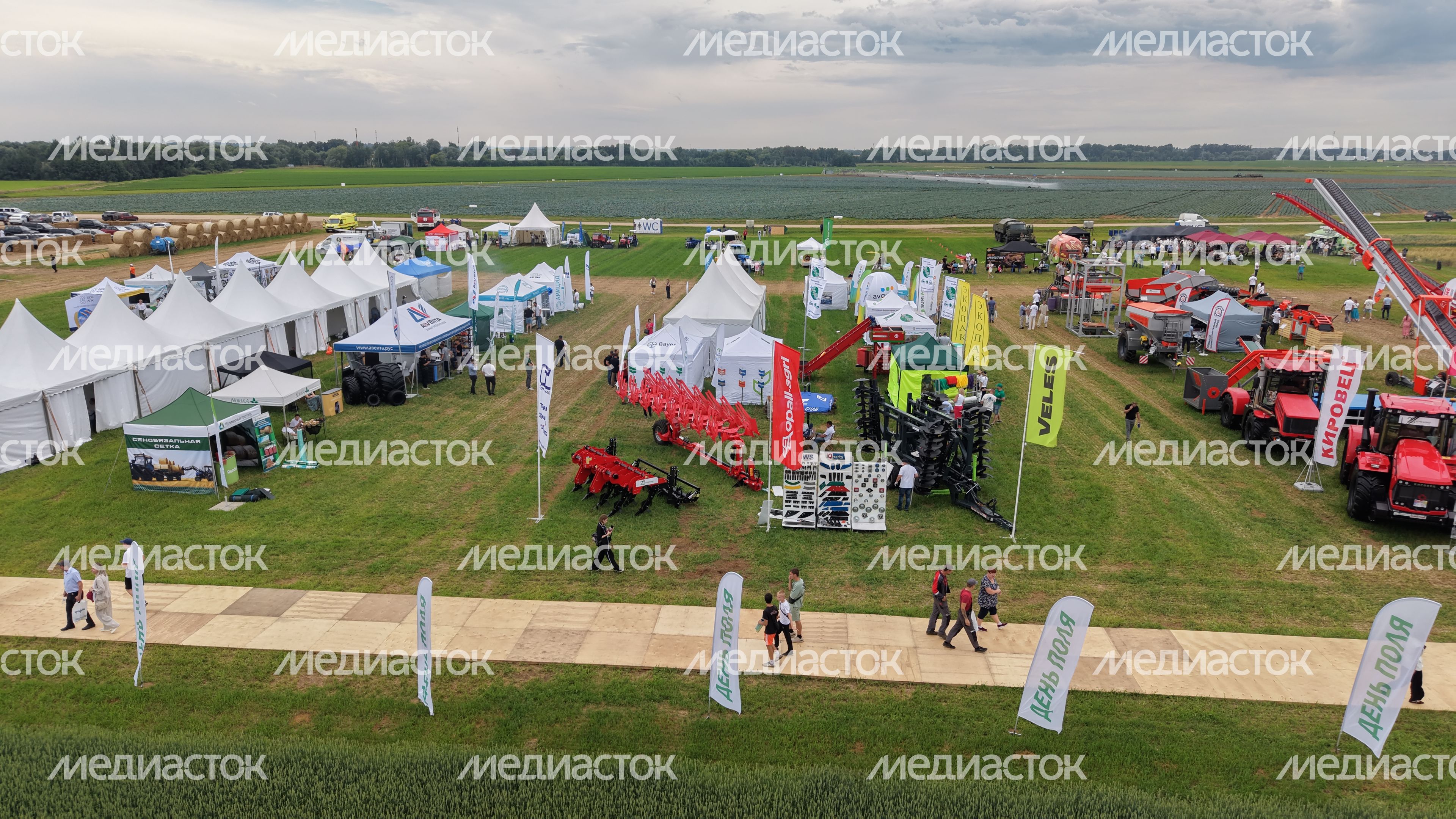 Агропромышленная выставка "День поля Московской области" в Дмитровском округе