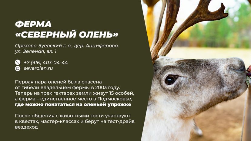 Фермы с животными