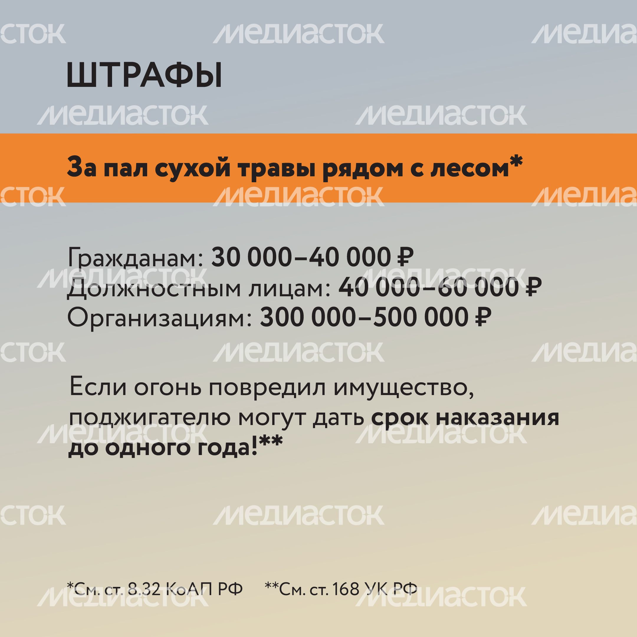 Пал травы-15.jpg