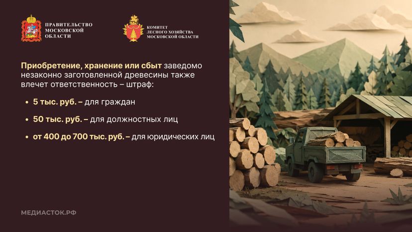 Незаконная рубка горизонталь 05