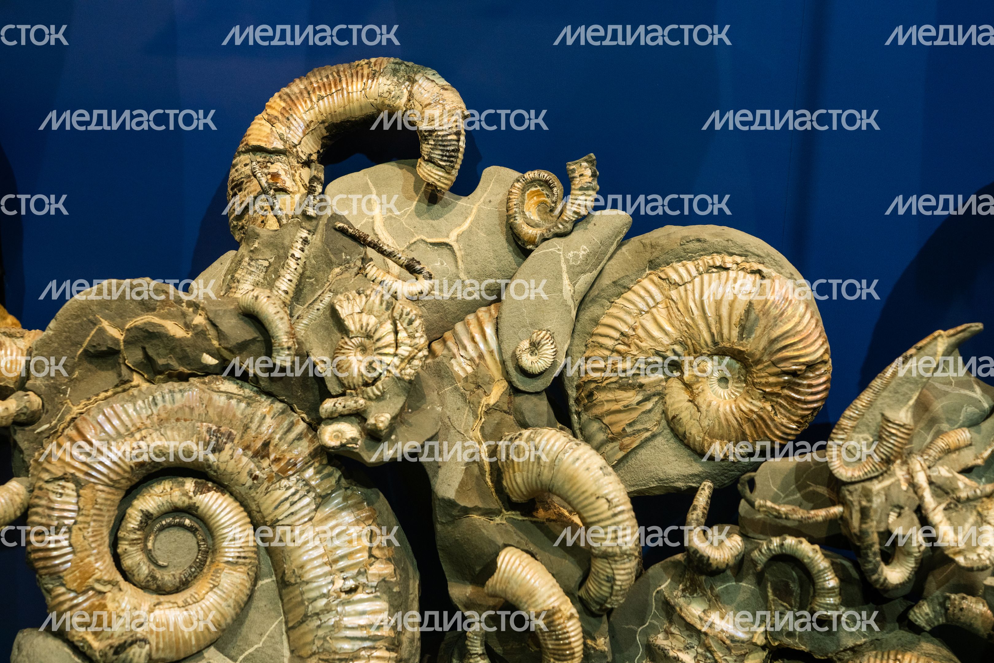 Музей истории мироздания в Истре