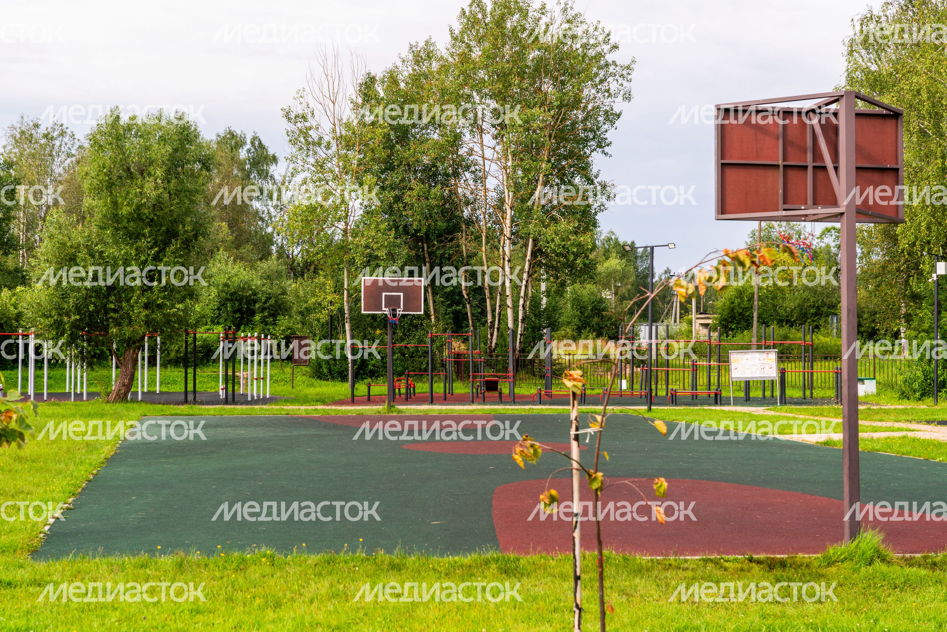 Баскетбольная площадка в парке культуры и отдыха «Солнечный берег» поселка Запрудня Талдомского округа Баскетбольная площадка в парке культуры и отдыха «Солнечный берег» поселка Запрудня Талдомского округа