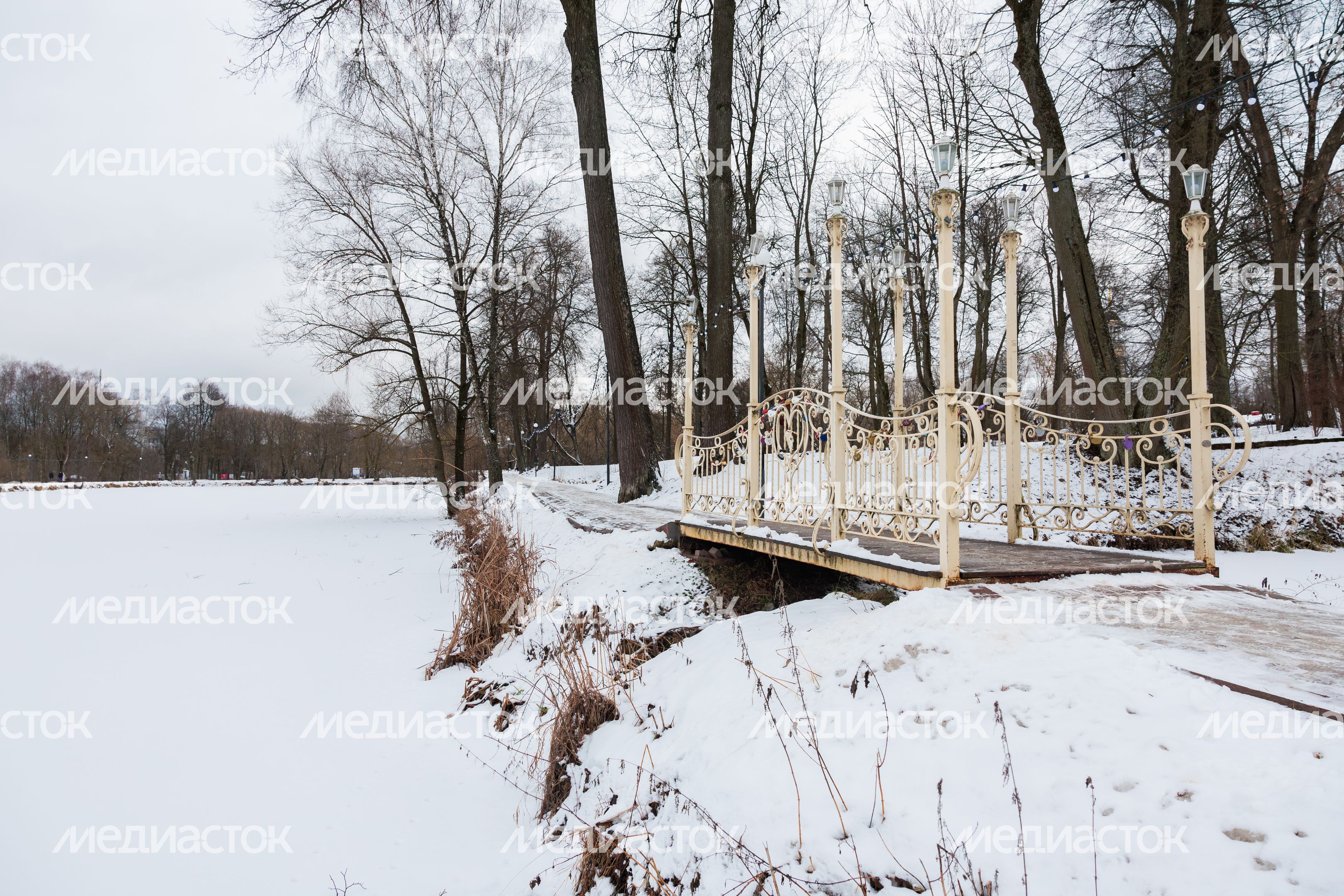 Зимний городской парк культуры и отдыха в Чехове Зимний городской парк культуры и отдыха в Чехове