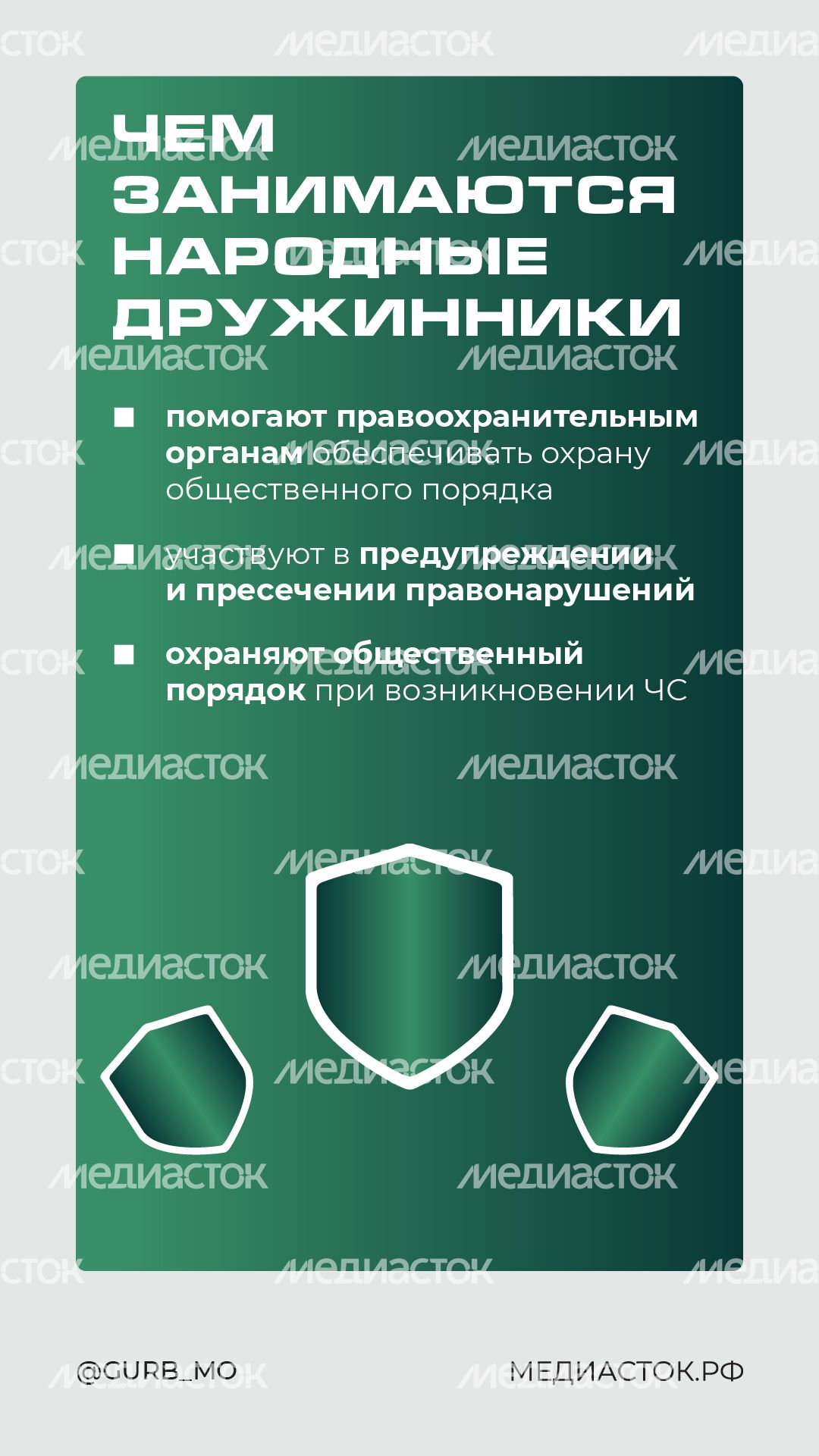 Как стать народным дружинником вертикаль 03 Как стать народным дружинником вертикаль 03