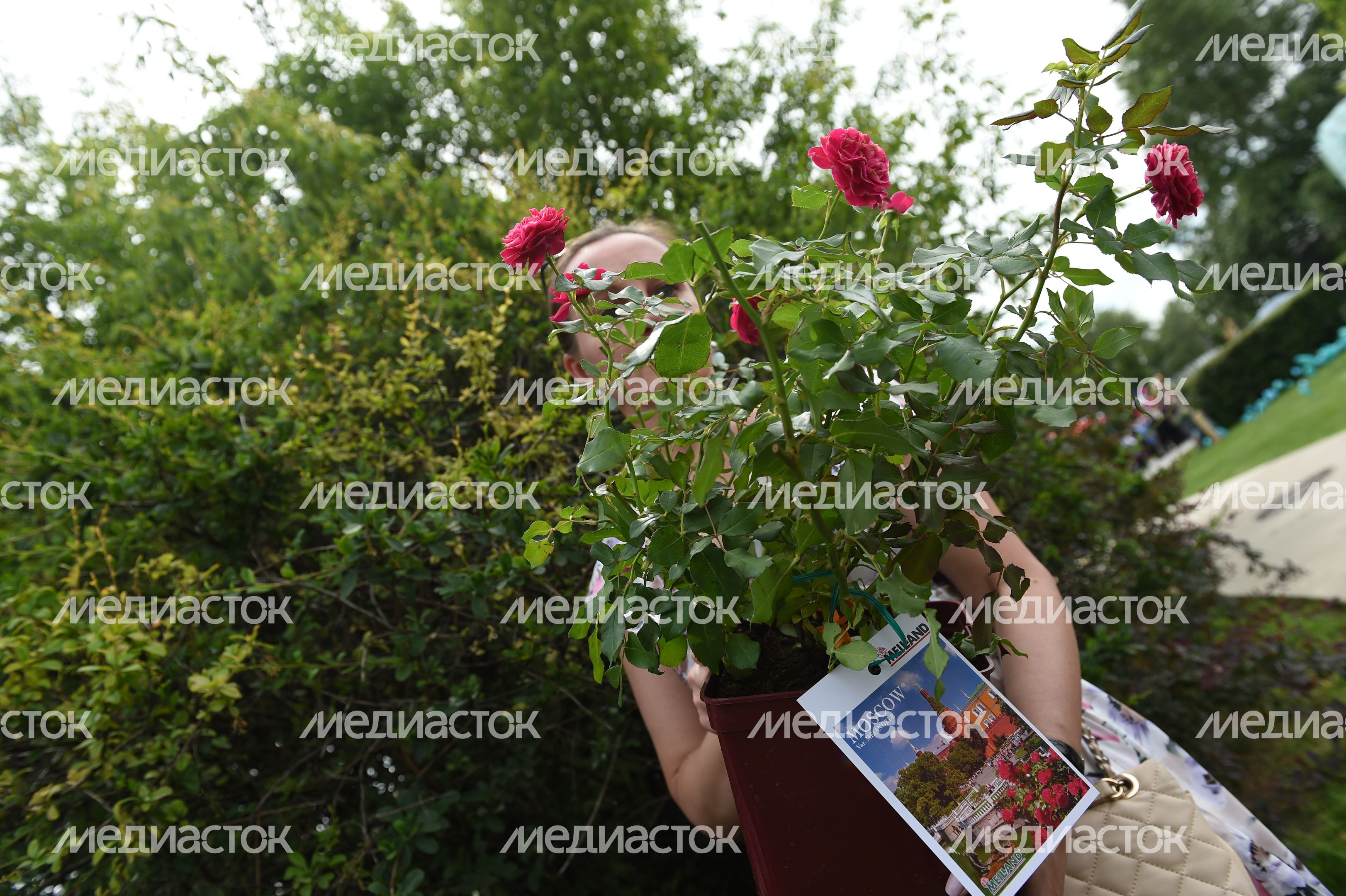 Открытие фестиваля садов и цветов Moscow Flower Show в парке «Музеон» в Москве Открытие фестиваля садов и цветов Moscow Flower Show в парке «Музеон» в Москве