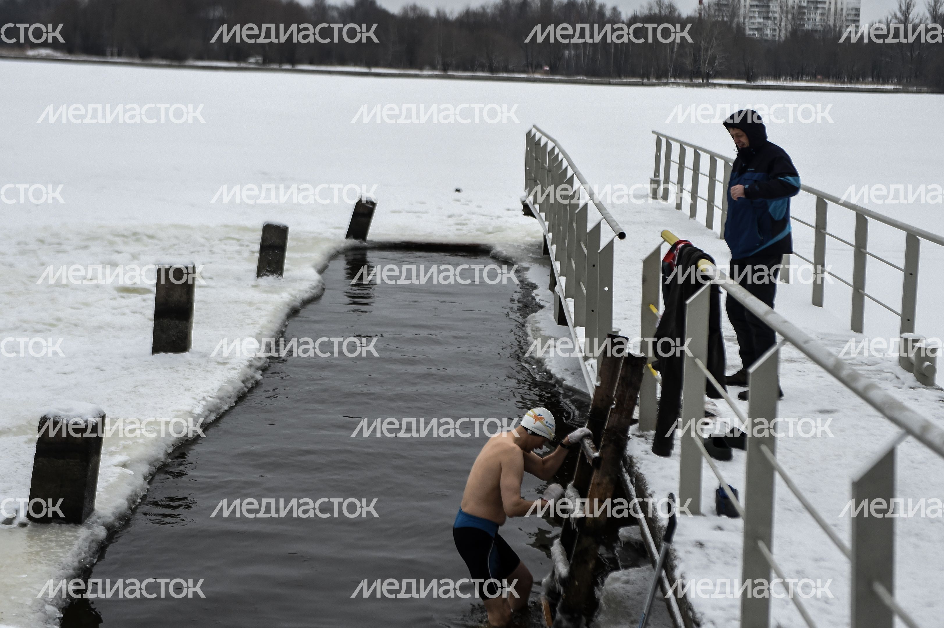 Купание моржей в Долгопрудном