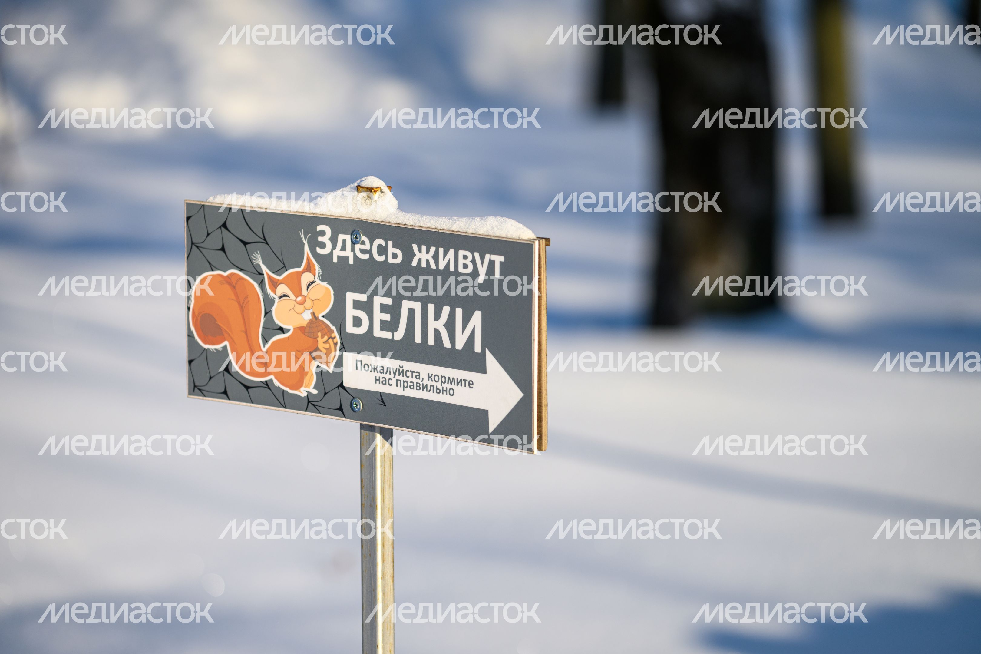 Люберецкий центральный парк культуры и отдыха зимой Люберецкий центральный парк культуры и отдыха зимой