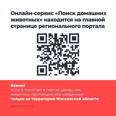 Домашние животные квадрат 03