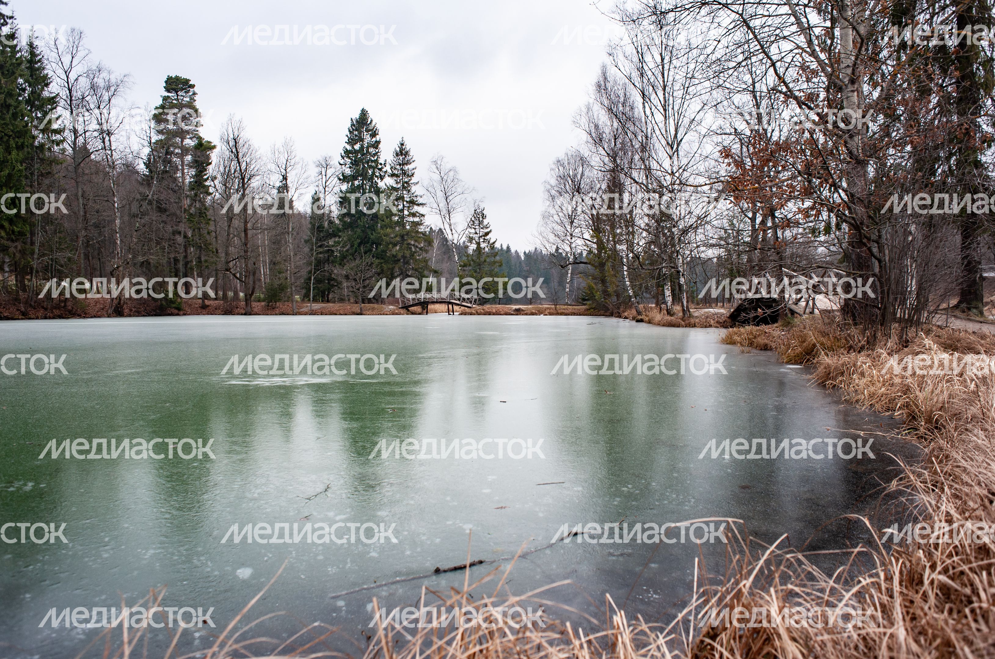 Музей-заповедник «Абрамцево»