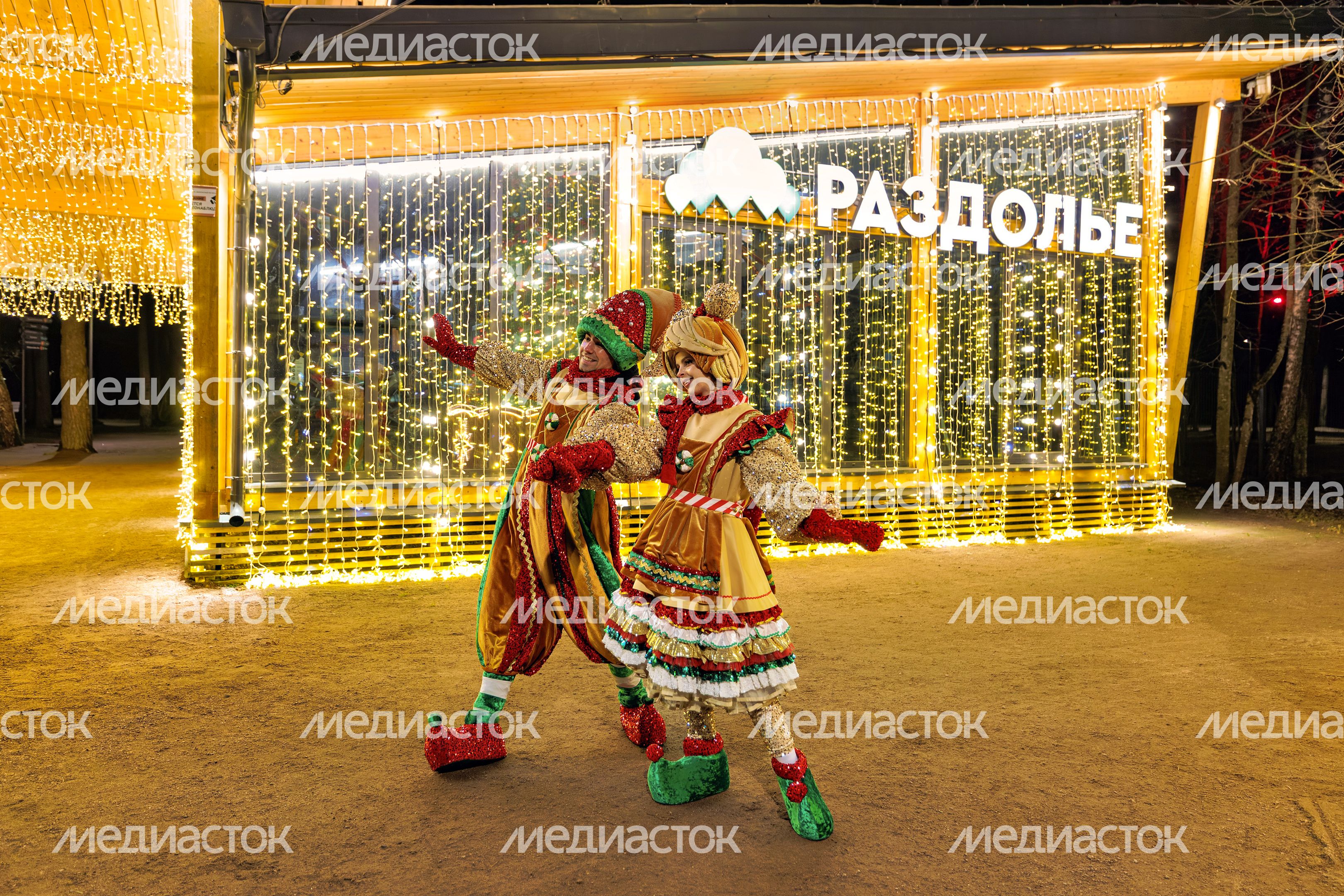 Новогодний парк «Раздолье» в Одинцово Новогодний парк «Раздолье» в Одинцово