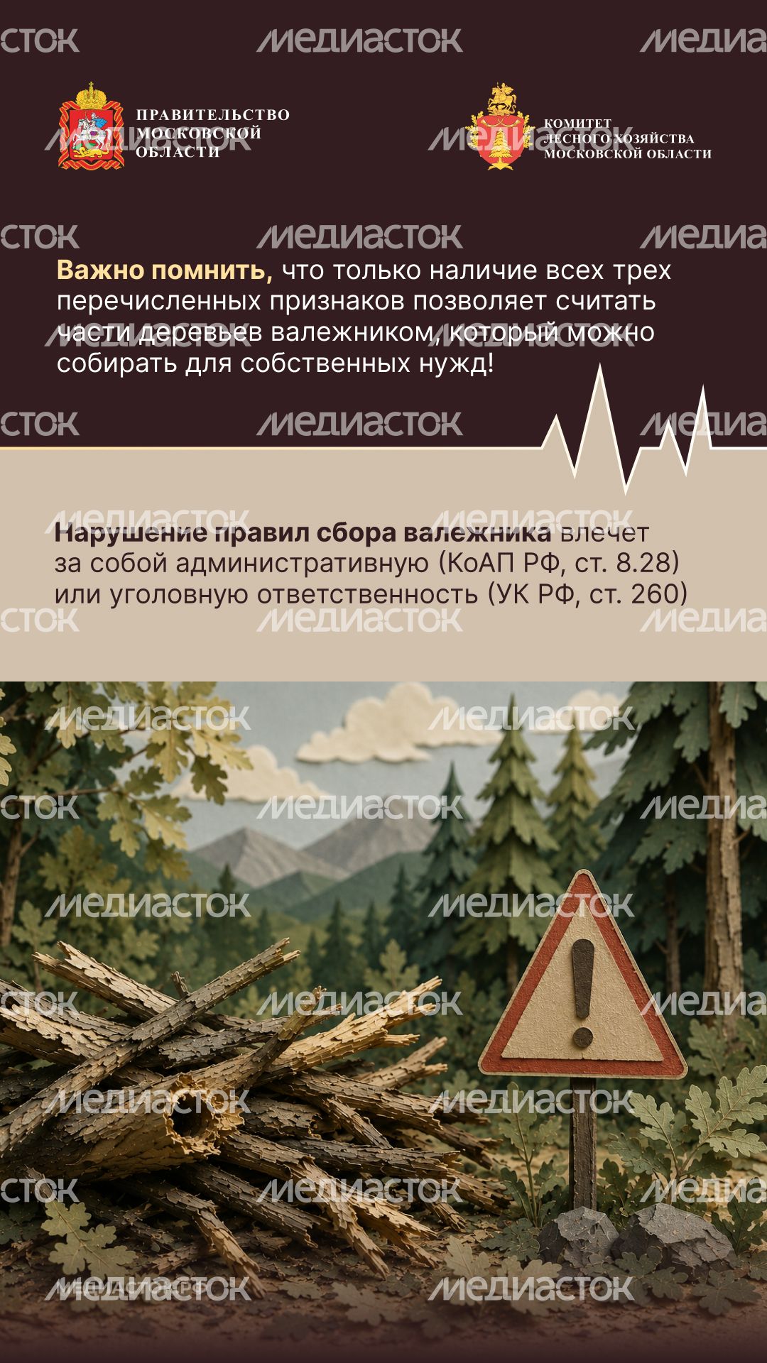 Валежник для собственных нужд вертикаль 04 Валежник для собственных нужд вертикаль 04