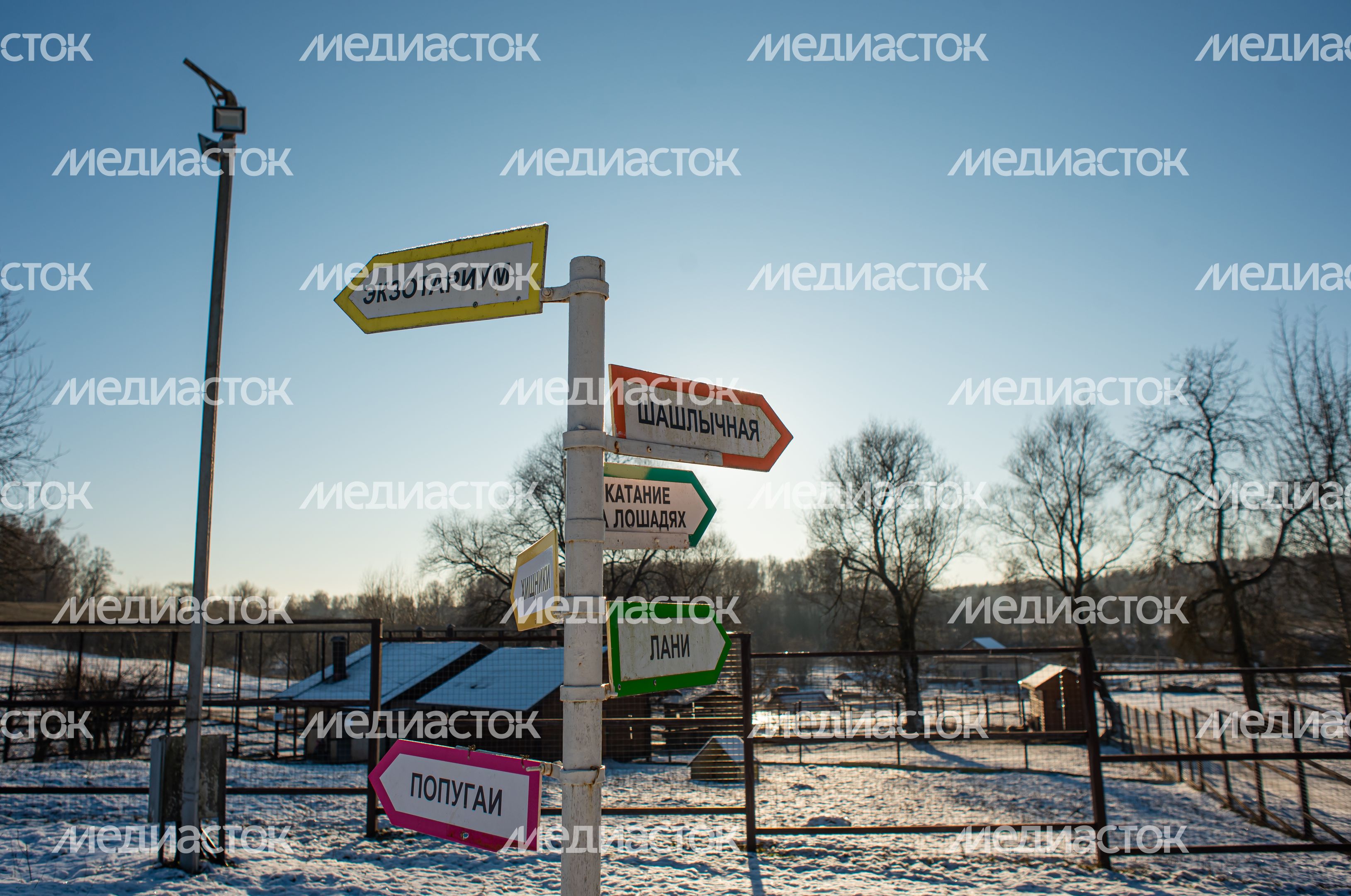 Зимний Парк Птиц «Воробьи»