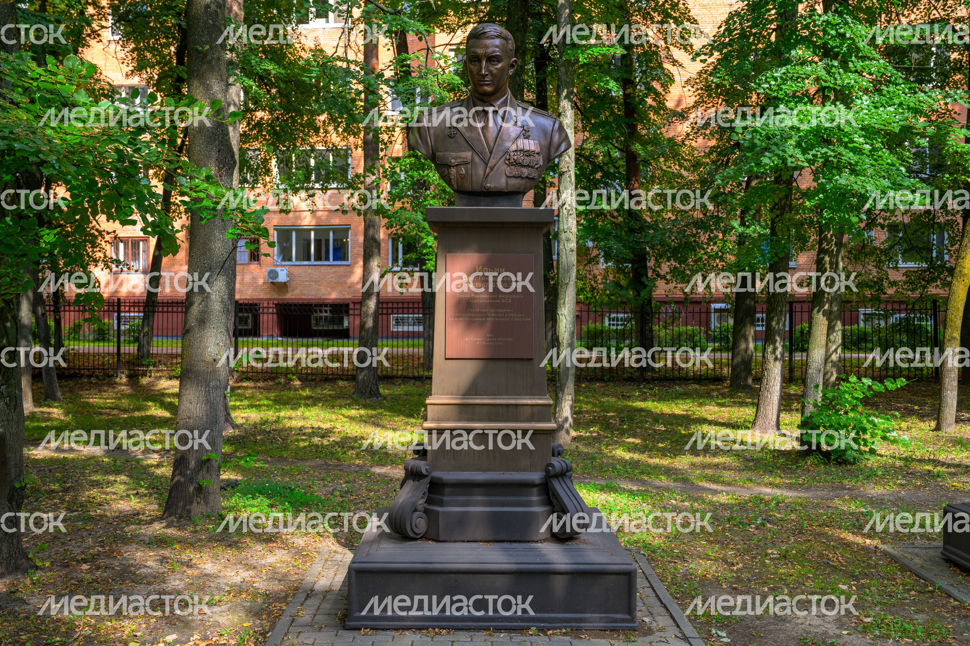 Аллея Героев Отечества в Щелково Аллея Героев Отечества в Щелково