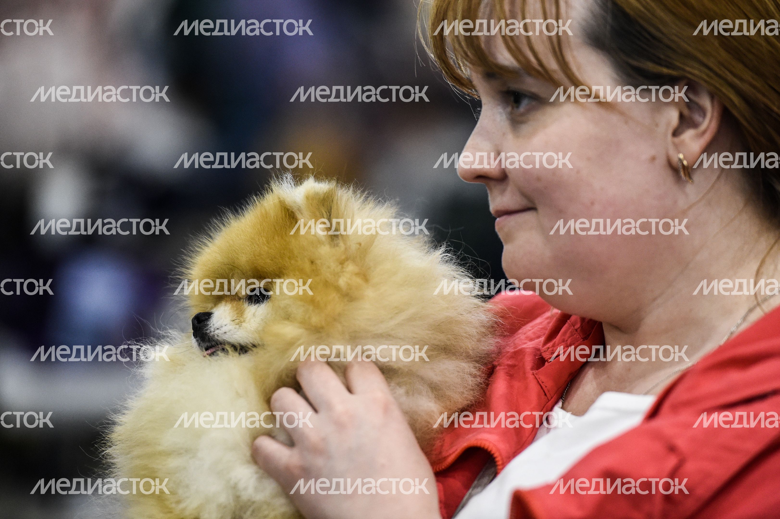 Выставка собак Евразия‑2018 прошла в Подмосковье