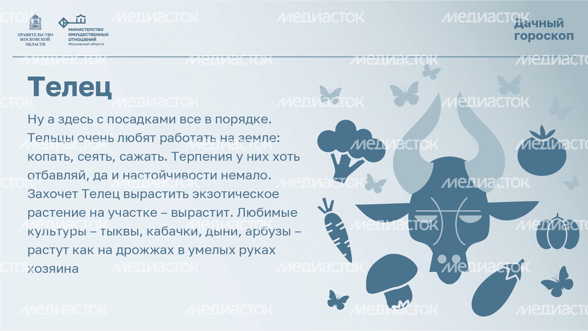 Горизонталь_Дачный_гороскоп_02-100.jpg