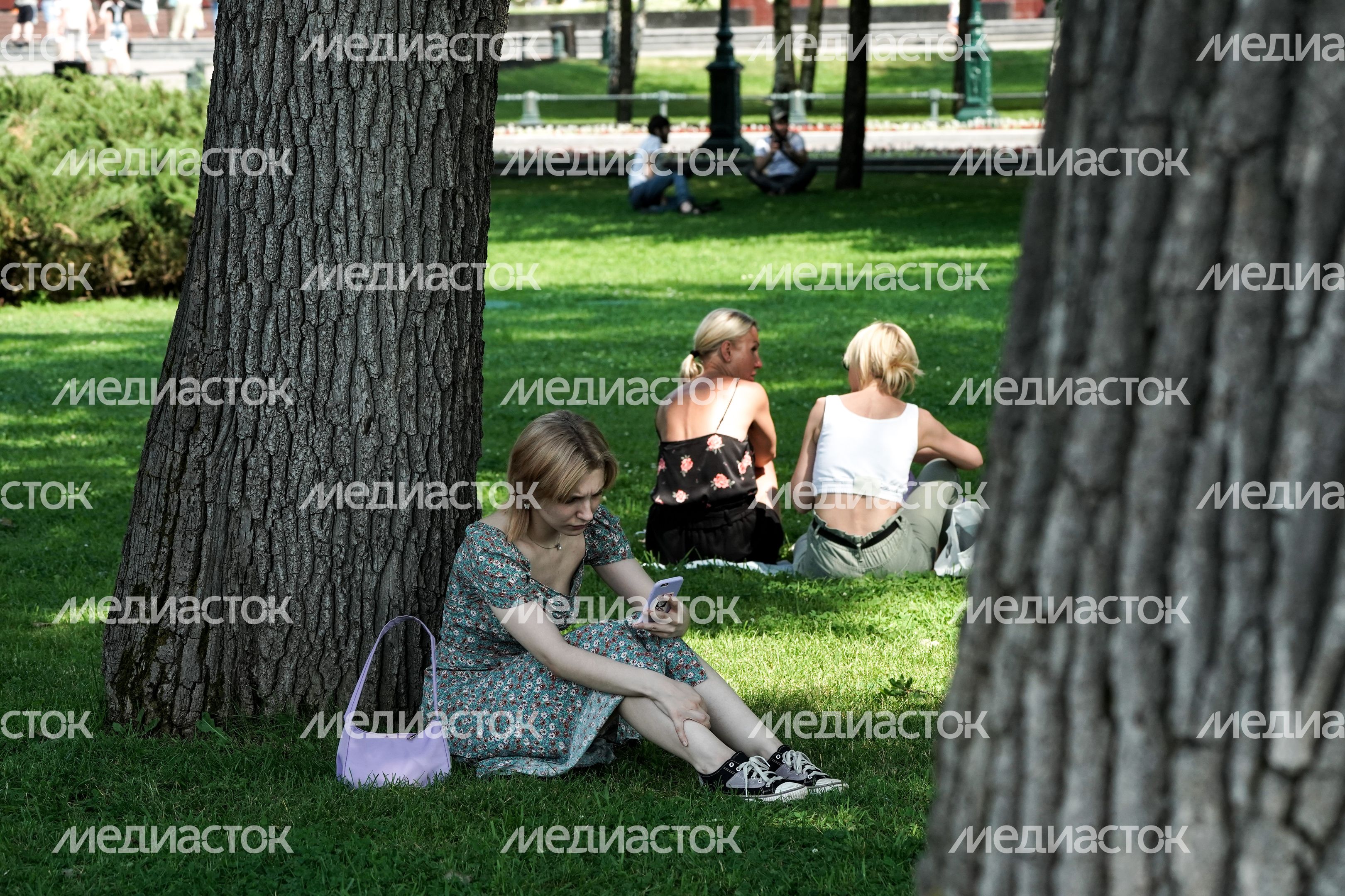 Аномальная жара в Москве