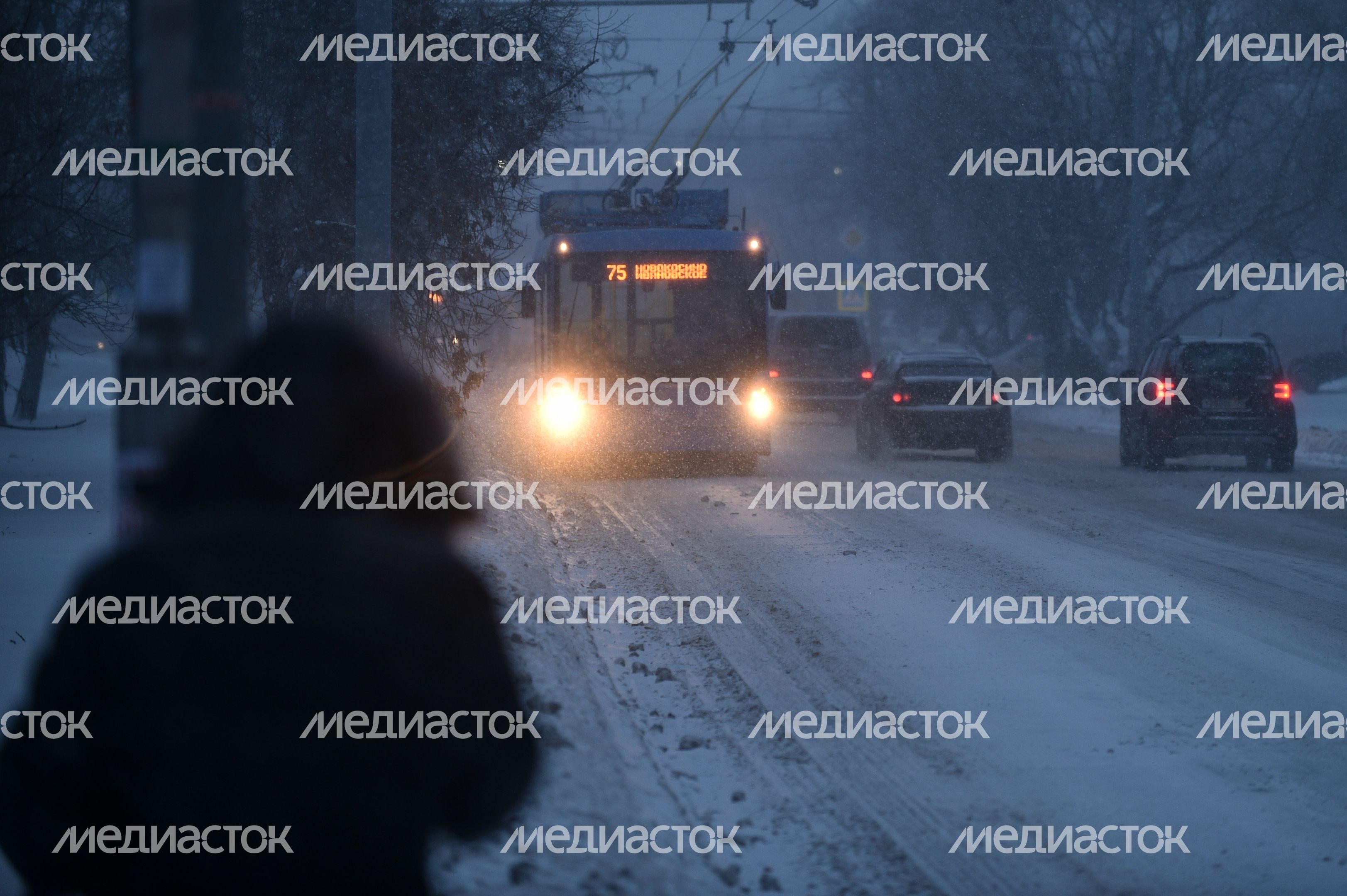 Первая метель