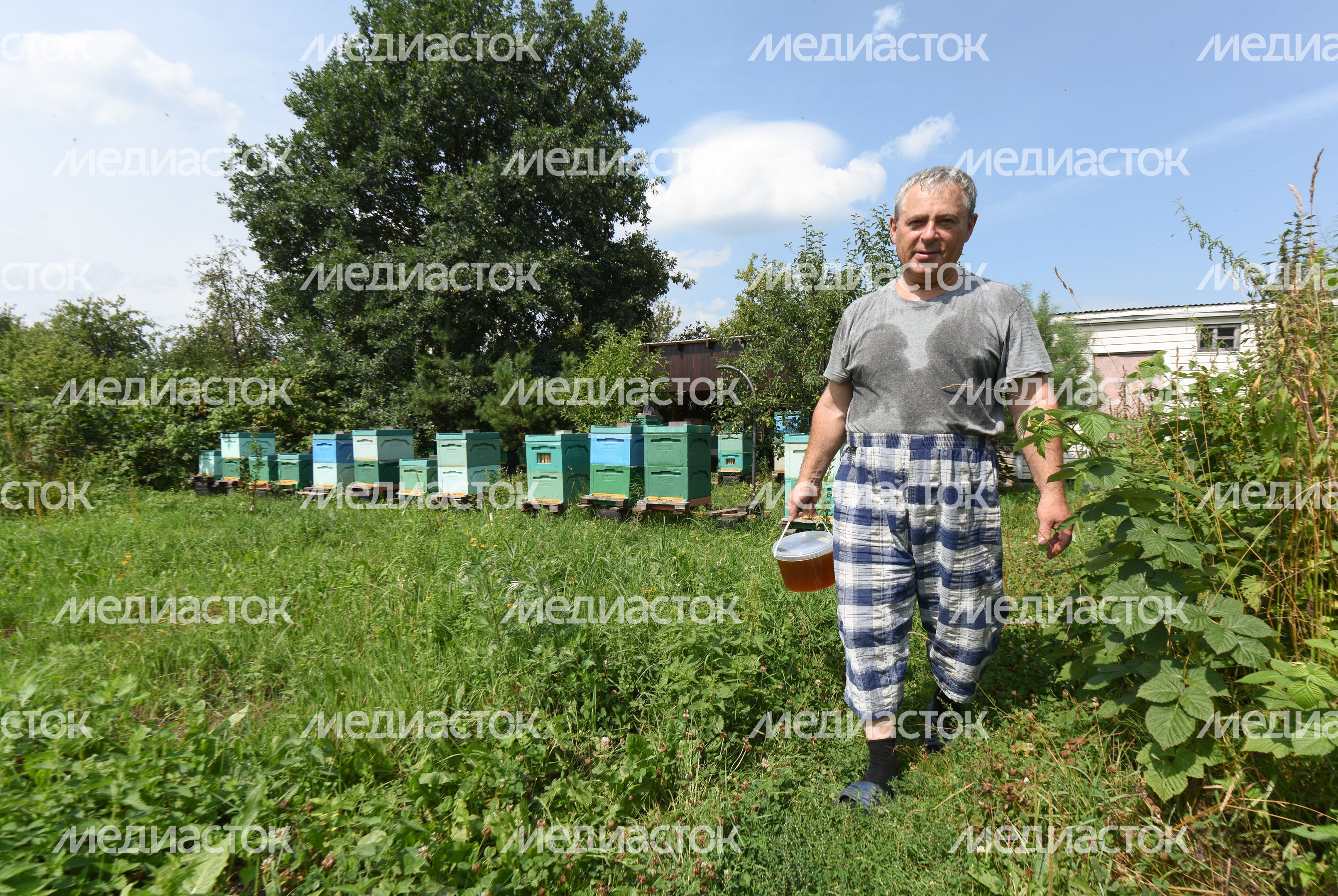 Пчеловод из Королева, 2 часть Пчеловод из Королева, 2 часть