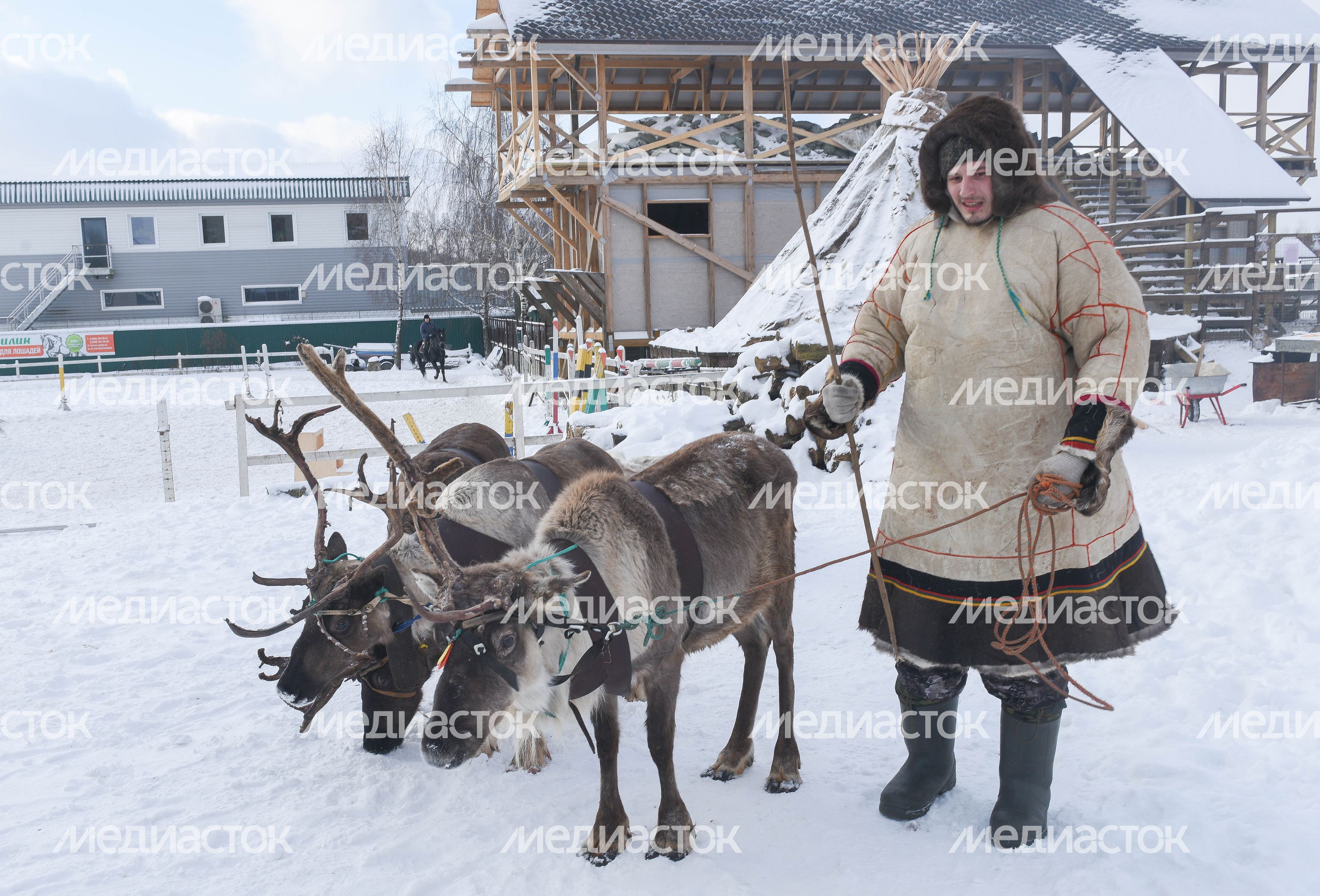 Оленья ферма в Дзержинском