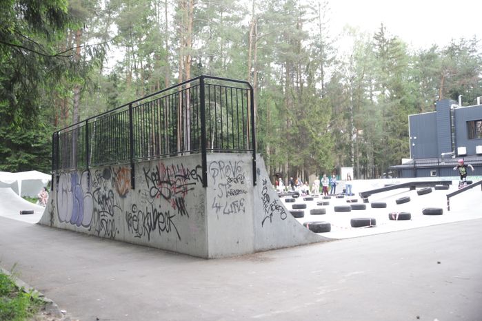 Скейт-парк в парке Елочки