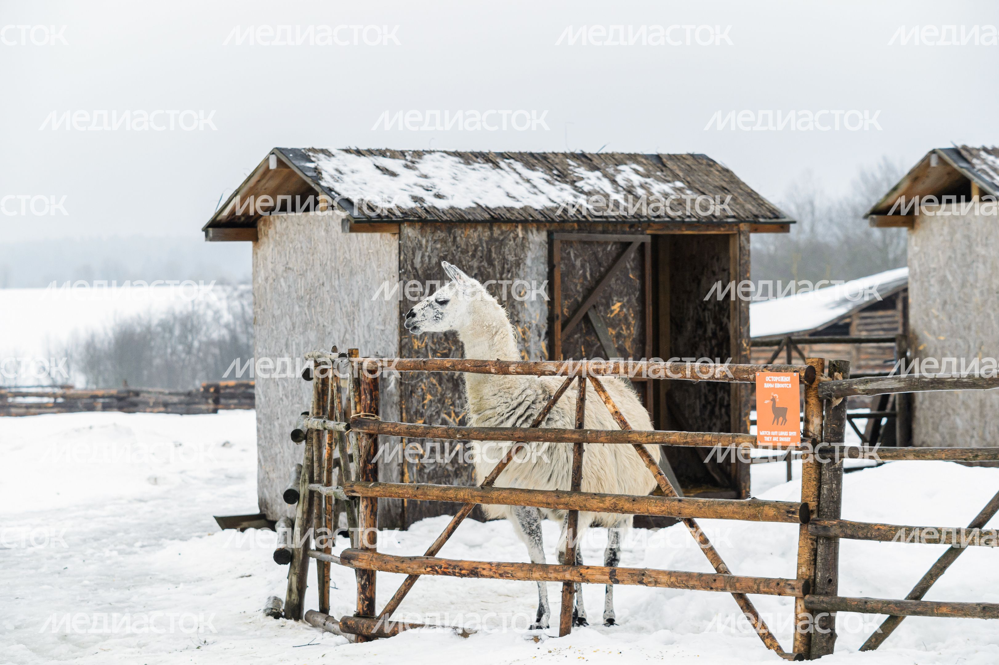 Этнопарк «Кочевник» в Хотьково зимой