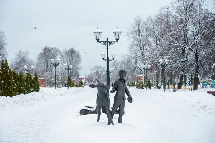 Зимние виды Лосино-Петровского