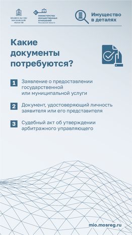 вертикаль Сведения для арбитражных 04.png