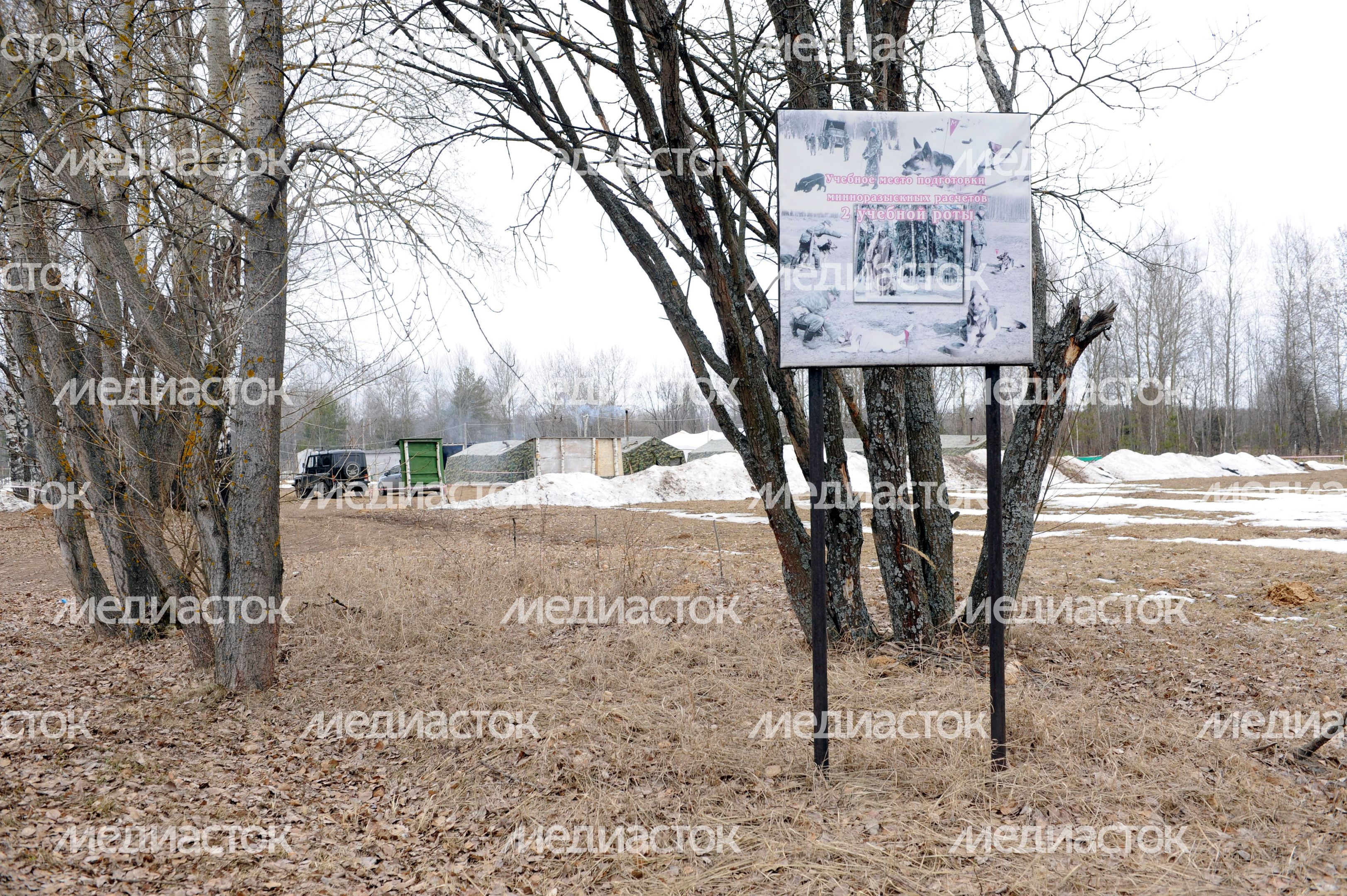 Подготовка вожатых служебных собак в учебном центре ЗВО