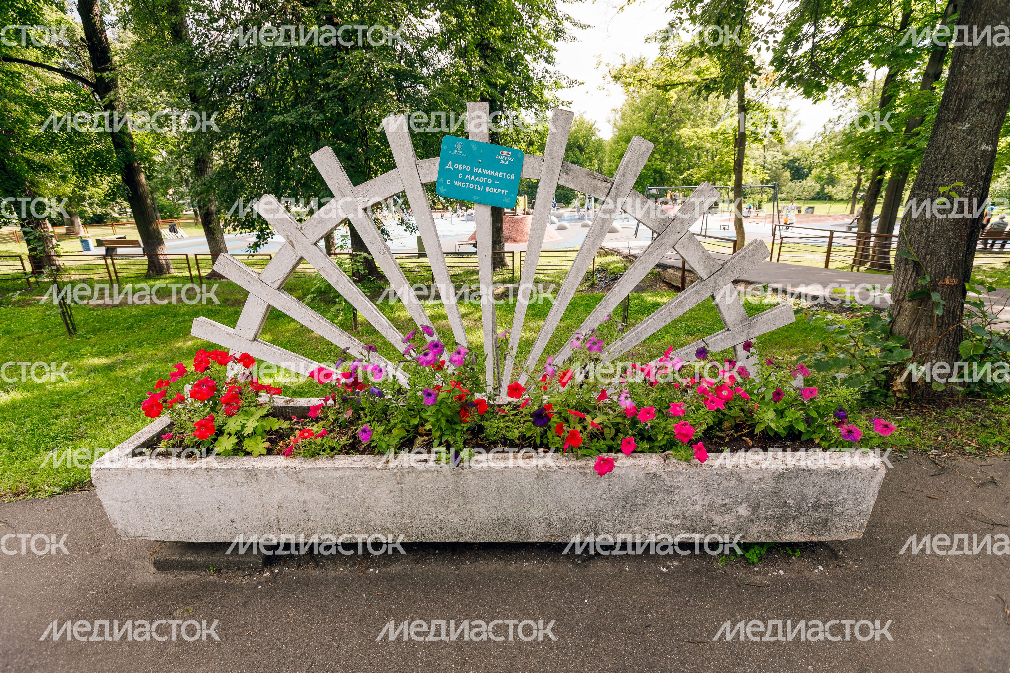 Клумба в летнем парке «Костино» в Королеве Клумба в летнем парке «Костино» в Королеве