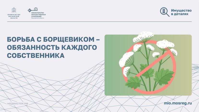 Борьба с борщевиком горизонталь 01
