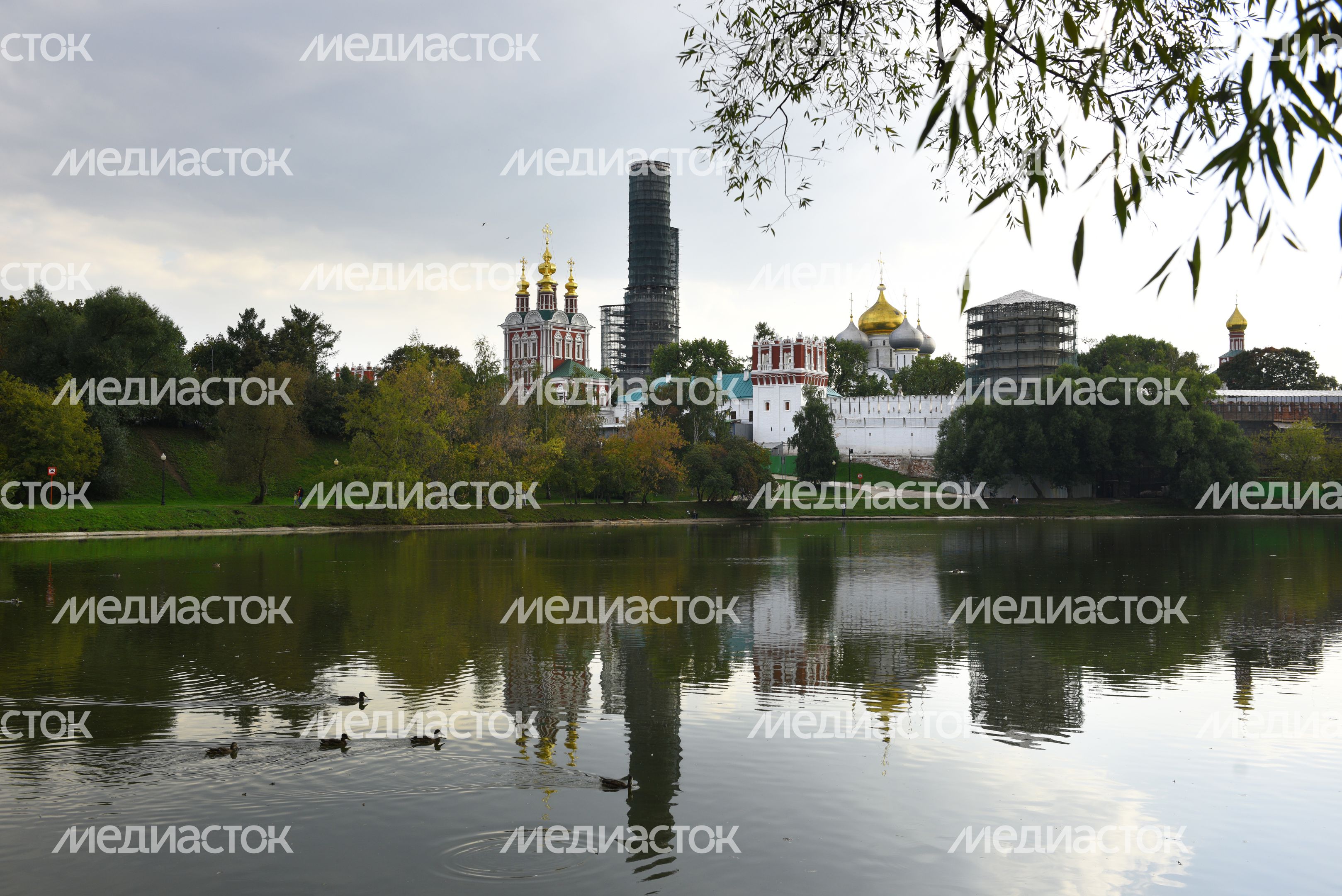 Парк Новодевичьи пруды в Москве